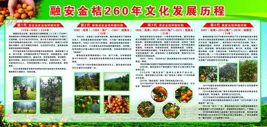 广西融安  脆蜜金柑 商品图5