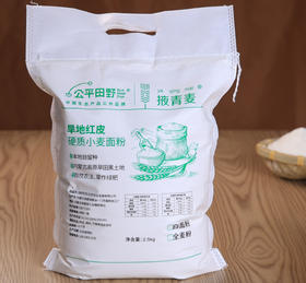 公平田野生态掖青麦全麦面粉