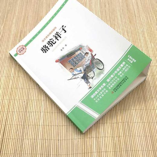 骆驼祥子 商品图3