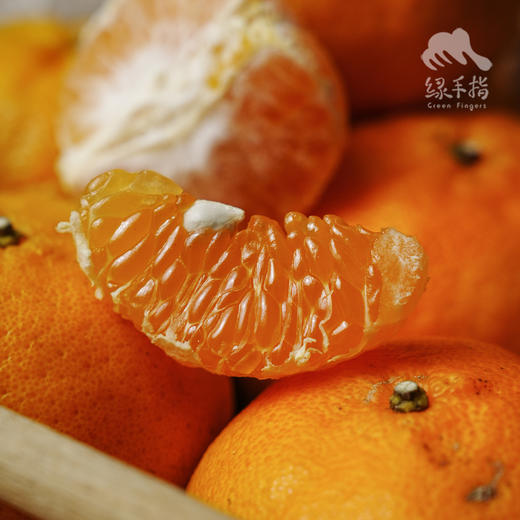 生态芦柑（极兔快递）| 合作生产*Ecological orange | Partner Production 商品图0