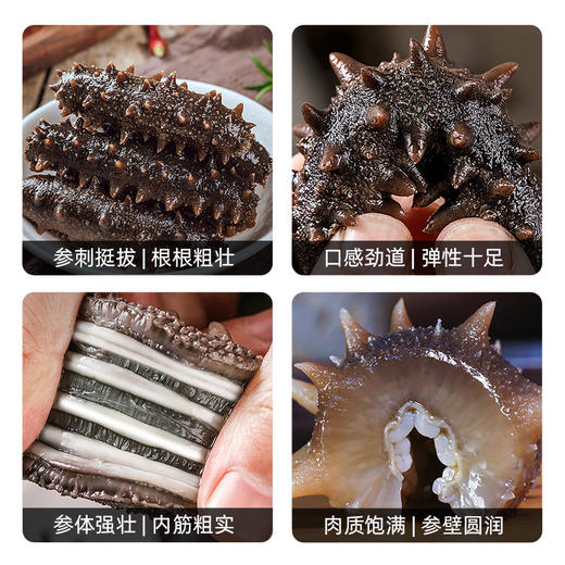 星龙港无冰即食海参-YGF 商品图5