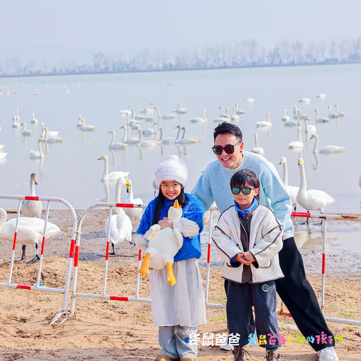 25年10月复团【袋鼠爸爸去哪儿 | 山西芮城住宿+门票亲子游】西安驱车两个半小时，住四星酒店，去圣天湖看万只天鹅齐飞，到永乐宫看元代彩绘壁画，感受1600年历史的烟火小城 商品图1