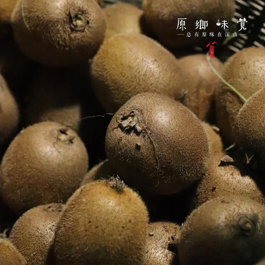 生态绿心猕猴桃（成都仓库-顺丰包邮） |  多种规格，来自四川都江堰中峰寺，生产者：真如师父，静师父【合作生产，公平贸易】 商品图5