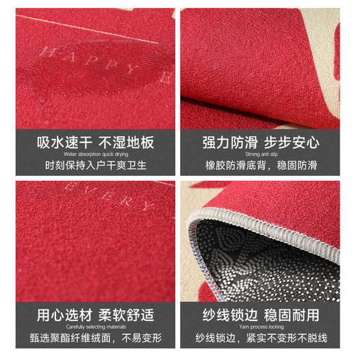 【新年入户地垫】2025年新款蛇年春节入户门脚垫过年家用客厅地毯垫子。ry 商品图3