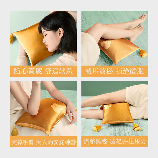 【真不二】攒金枝家居抱枕腰靠居家车载办公大号香囊枕 商品图4