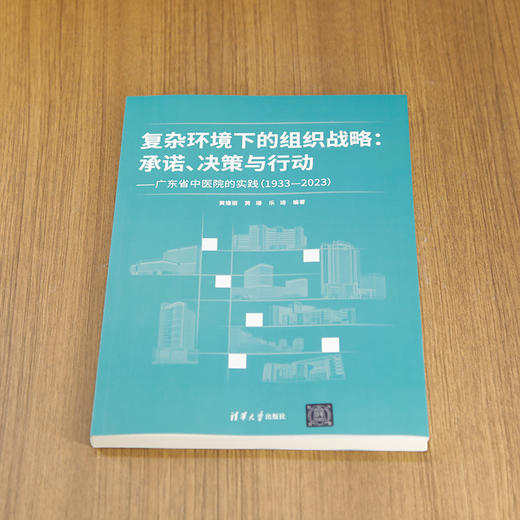 复杂环境下的组织战略:承诺 决策与行动:广东省中医院的实践(1933-2023) 商品图1