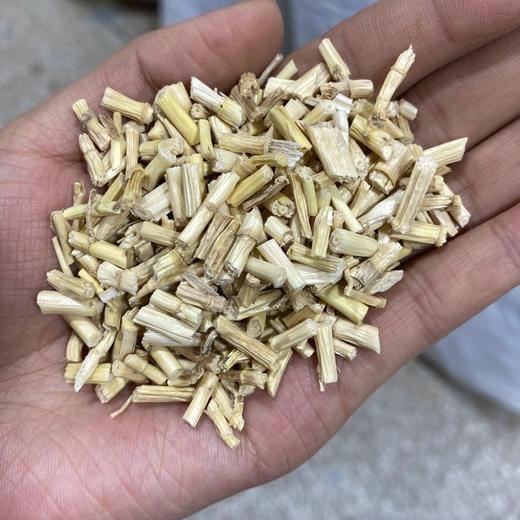 白茅根 常用规格 商品图3