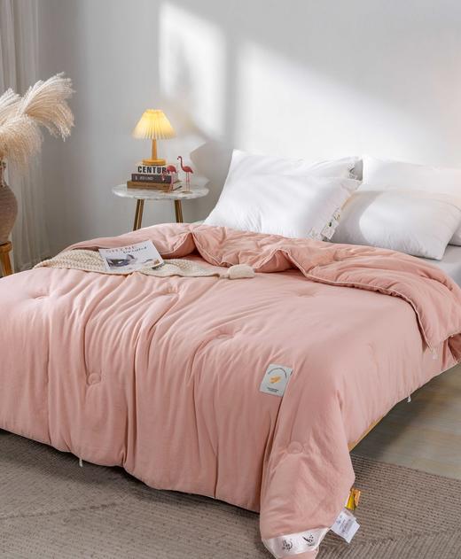 【远梦】大豆亲肤四季被 商品图2