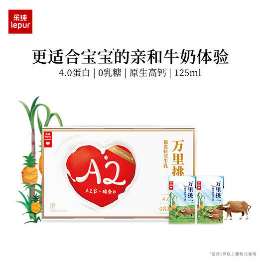 历史最低价『4.0蛋白纯+原生高钙』乐纯万里挑一牛奶 高钙纯牛奶 每盒8.0g蛋白质+240mg钙 减乳糖工艺零乳糖常温纯牛奶 商品图2