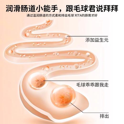 byay猫咪化毛膏0糖顺肠胃排毛球 商品图3