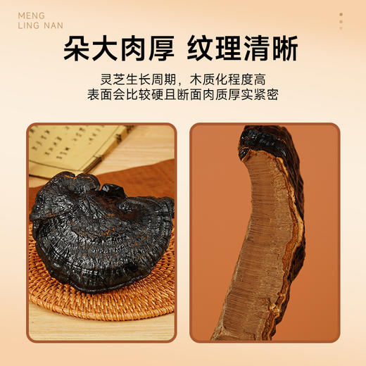 【珍贵仙草 养心安神】梦岭南黑灵芝360g礼盒装 云南珍稀原产 甜睡整晚 安抚心神 商品图4