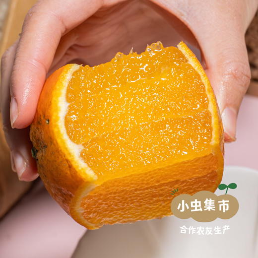 眉山生态爱媛果冻橙 5斤/8.5斤 | 合作农友生产，产自四川眉山，生产者：胡连均 *【公平贸易农人定价】 商品图1
