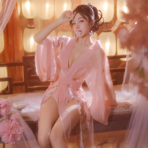 落樱浮光纱宽袖汉服套装3941 商品图0