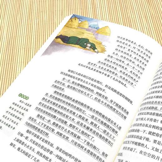 钢铁是怎样炼成的 商品图4