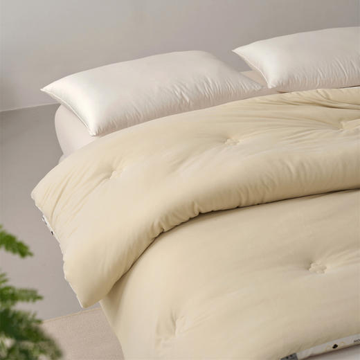 【三种厚度自由选择】超软糯A类德绒大豆被子 静音亲肤抗菌春秋被加厚冬被儿童被双人棉被 商品图8