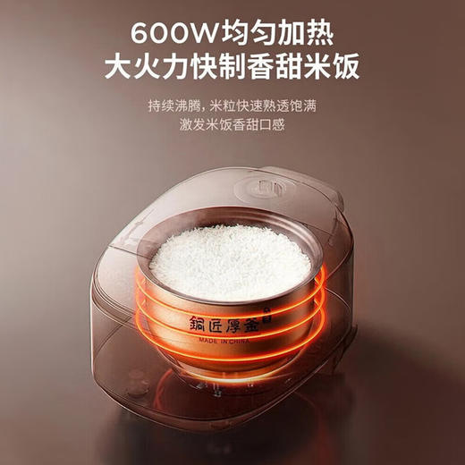 【分仓直发包邮】九阳（Joyoung）电饭煲F-30Z2 3L 商品图3