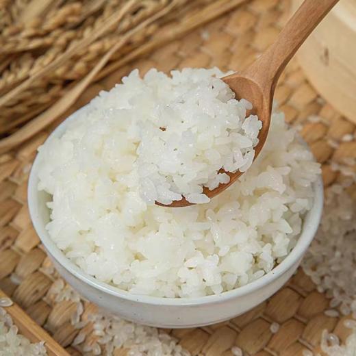 699存储一年水稻2024新米“红海滩1号”盘锦蟹田米每月现磨新米现发货10斤全年12次发货120斤月月吃新米<我家有块儿田  欢乐锄禾年>（锄禾农庄地主发起计划） 商品图6