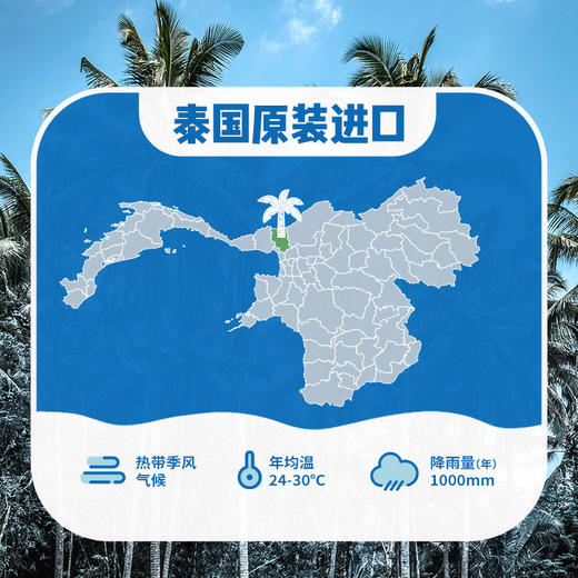 椰子知道100%NFC椰子水330ml*8瓶（礼盒装） 商品图3