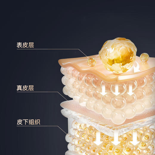 Grio欧洲蕴能活颜扶纹玻色因面霜 50g/瓶 商品图3