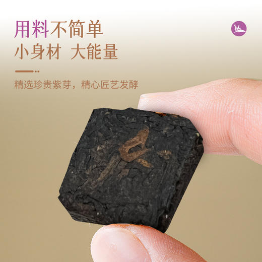澜沧古茶202年古醇紫龙迷你砖云南普洱茶熟茶85g 商品图3