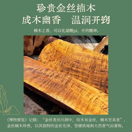 【真不二】攒金枝家居抱枕腰靠居家车载办公大号香囊枕 商品图3