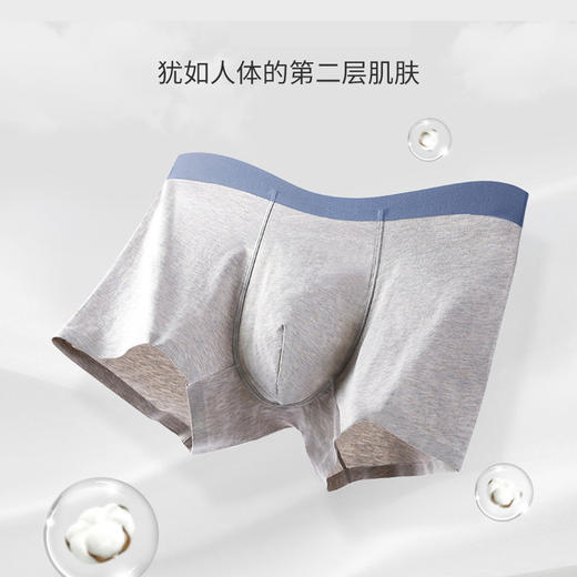 新疆长绒棉男士内裤  纯棉无痕内裤 60支A类婴儿棉 精品内裤独立无菌包装 商品图2