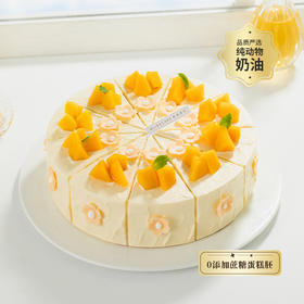 【微甜热量低】轻盈沐光下午茶。女生儿童控甜之选！0添加蔗糖，更健康更好吃（YJ）