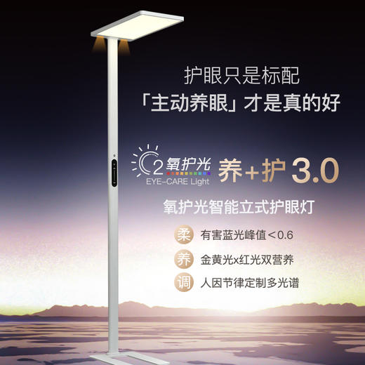 华尔登全光谱阳光落地灯护眼大路灯 商品图2