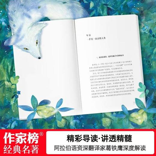 《一千零一夜》礼盒珍藏版大全集（全10册）| 经典原文直译 8位阿拉伯语专家倾力打造 原汁原味、精彩好读 商品图6