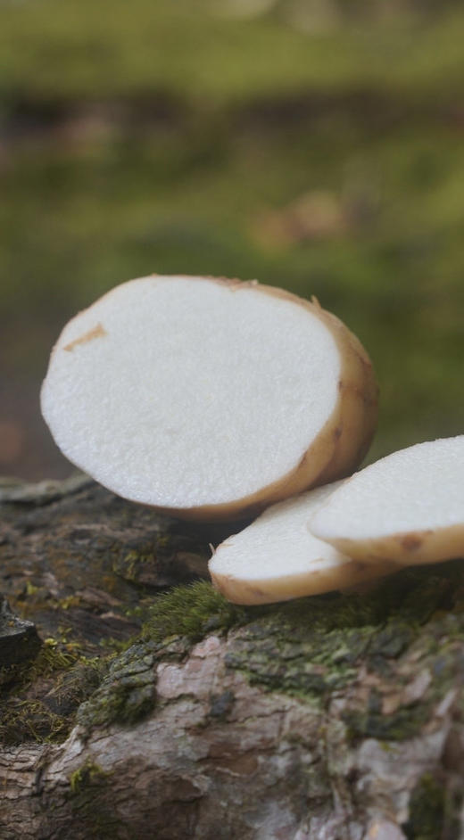 邵通天麻  祛风补脑·养肝安神·汁多肉脆·味甜爽口 煲汤炒菜泡酒炖肉 产地直发 商品图0