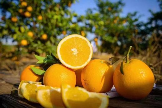 【产地直采】赣南脐橙，水分充足，橙香味浓郁，不加蜜，自然甜，口感好超级好，力推 商品图3