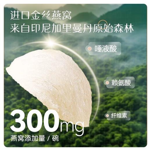 花蕉记双口味200g*6碗燕窝粥礼盒轻食代餐营养 商品图2