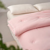 【三种厚度自由选择】超软糯A类德绒大豆被子 静音亲肤抗菌春秋被加厚冬被儿童被双人棉被 商品缩略图7