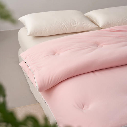 【三种厚度自由选择】超软糯A类德绒大豆被子 静音亲肤抗菌春秋被加厚冬被儿童被双人棉被 商品图7