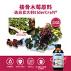 加拿大爱奇氏 接骨木莓滴液 100ml 商品缩略图3