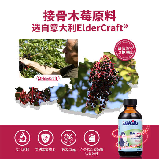 加拿大爱奇氏 接骨木莓滴液 100ml 商品图3