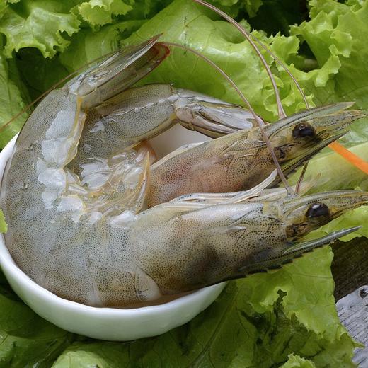 XML 青岛大虾4斤（净虾3.2斤） 商品图2