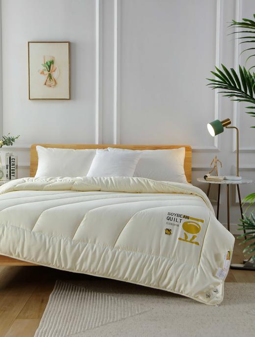 【远梦】大豆亲肤四季被 商品图6