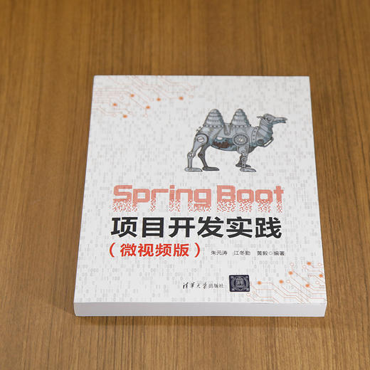 Spring Boot项目开发实践(微视频版) 商品图1