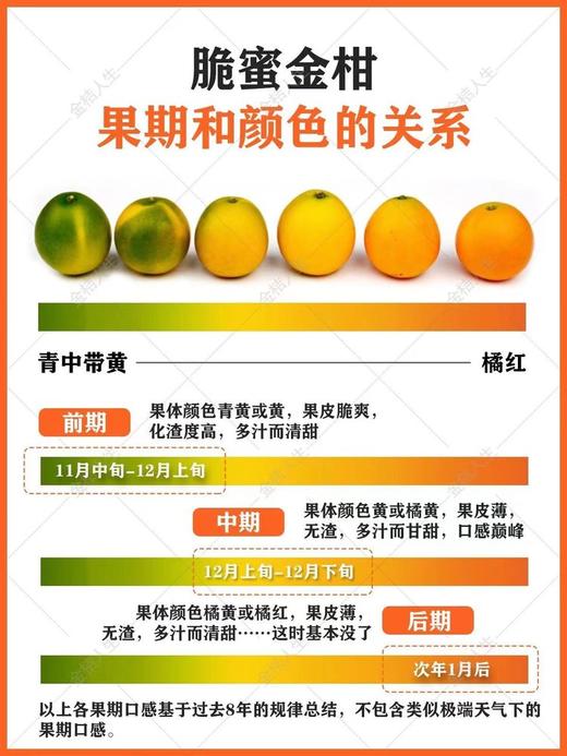 广西融安  脆蜜金柑 商品图2