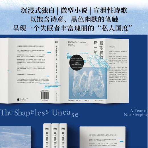 睡不着的那一年/(英)萨曼莎·哈维著；王烨炜译 商品图3