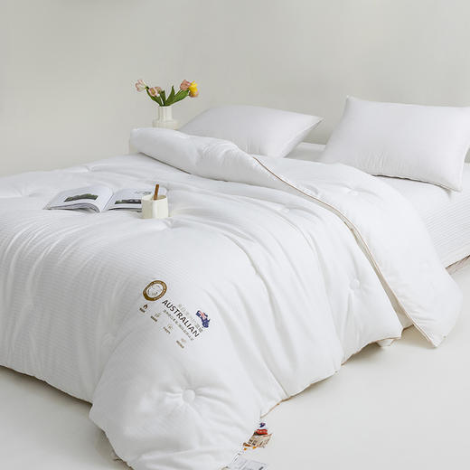 澳洲羊毛大豆蛋白被 进口羊毛 大豆纤维 恒温保暖 柔软舒适 商品图1