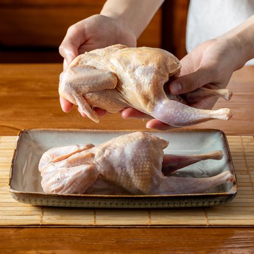 鹧鸪|吃它顶九只鸡，比鸽子还要补！一煮鲜又润 商品图7