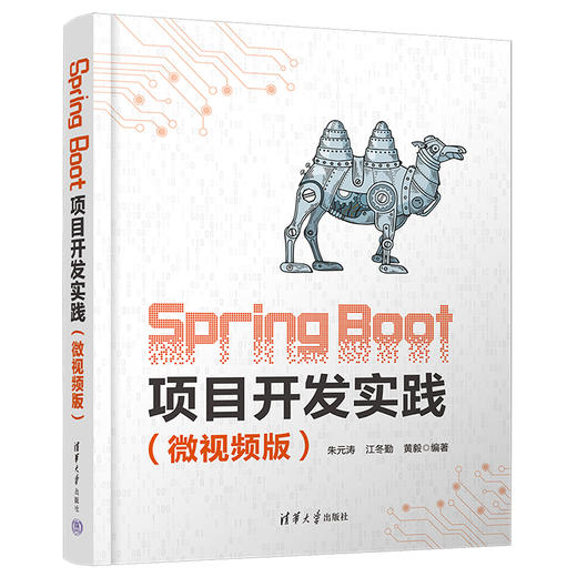 Spring Boot项目开发实践(微视频版) 商品图0