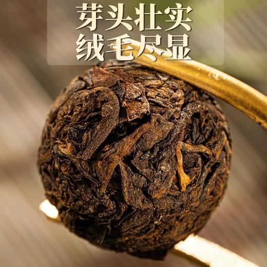 俊仲号普洱茶熟茶古树春茶沱茶俊仲龙珠熟茶礼盒装云南茶叶640克  包邮 商品图2