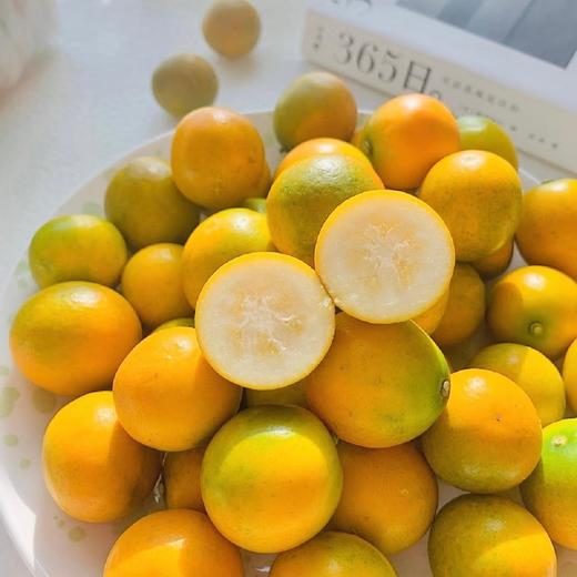融安脆蜜金桔 约400g/盒  | 水果 商品图1