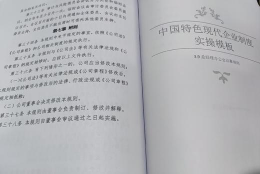 深度研究《中国特色现代公司治理实操模板》 商品图3