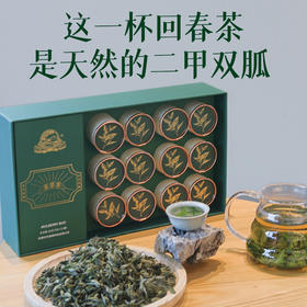 桑芽茶甄选回春茶 茶叶嫩芽芽头特级礼盒装