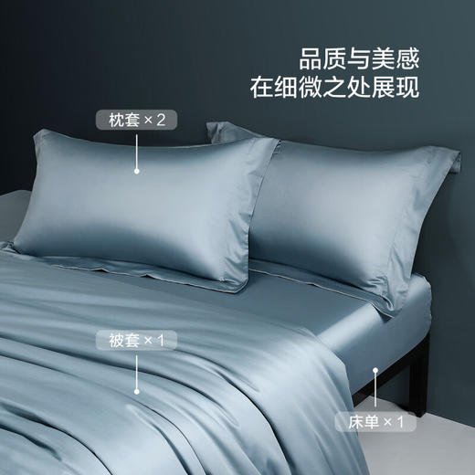 【分仓直发包邮】水星家纺臻·卡洛斯100支长绒棉贡缎抗菌四件套129126 商品图1