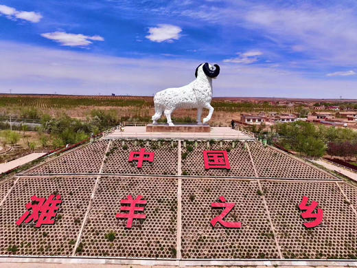 📦地理标志产品【盐池滩羊】礼盒3斤组合（羊排+满肉羊蝎+羊腿）全国包邮【量大可定制】 商品图8